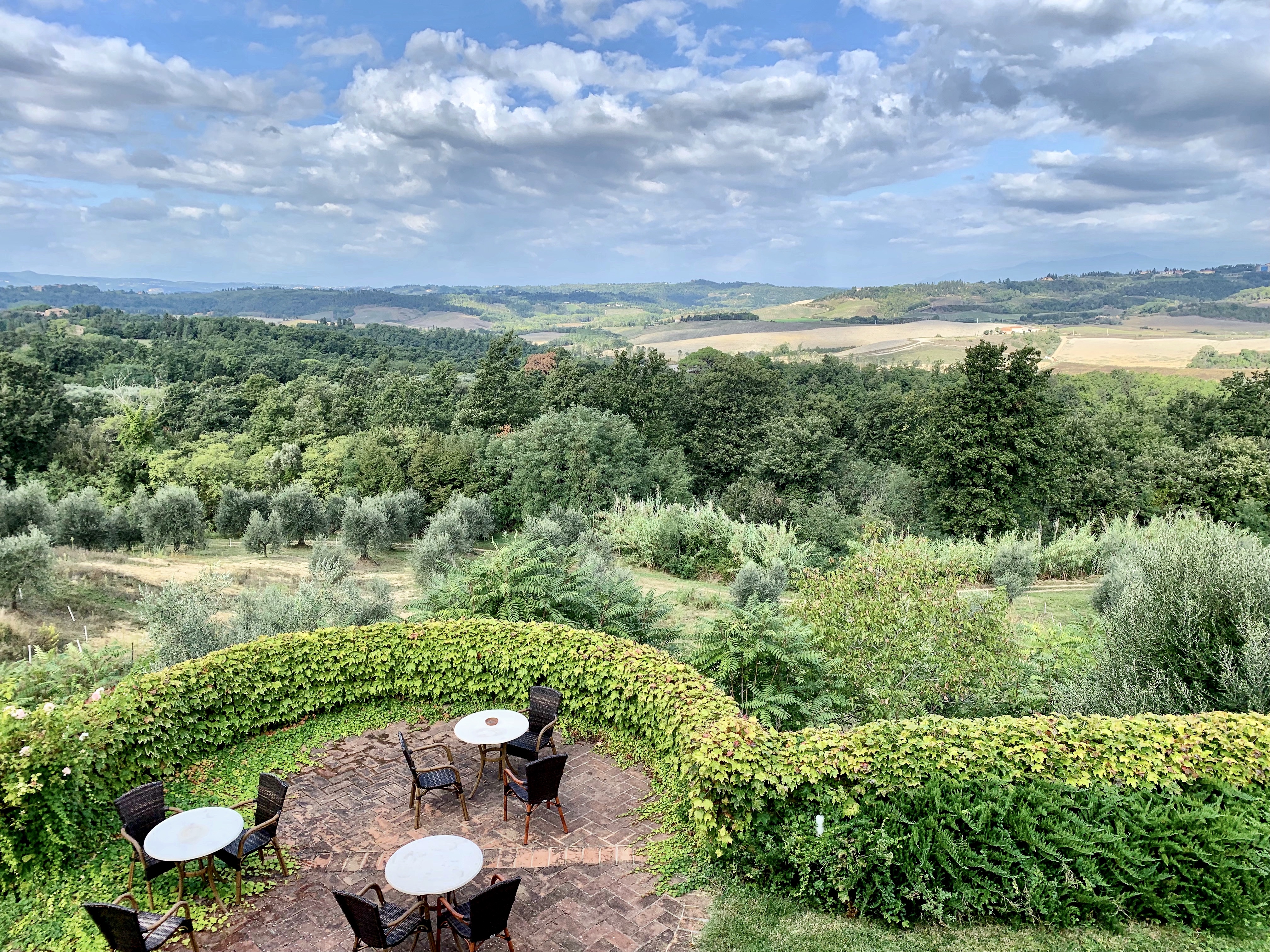Vendemmia in Toscana
